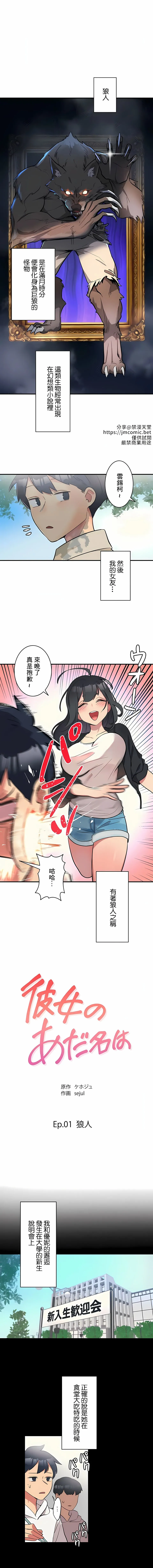 女友的别名封面