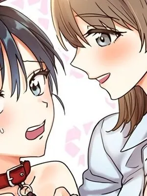 爱情回收战封面